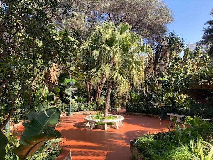 Hotel El Djazair El Mouradia エクステリア 写真
